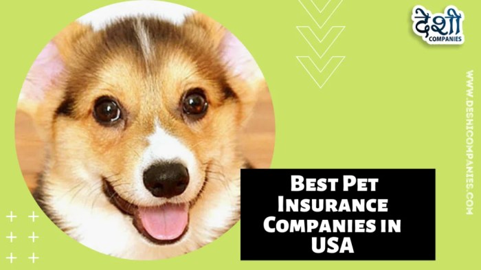 Insurance pet top companies best reviews advisoryhq rated ranking