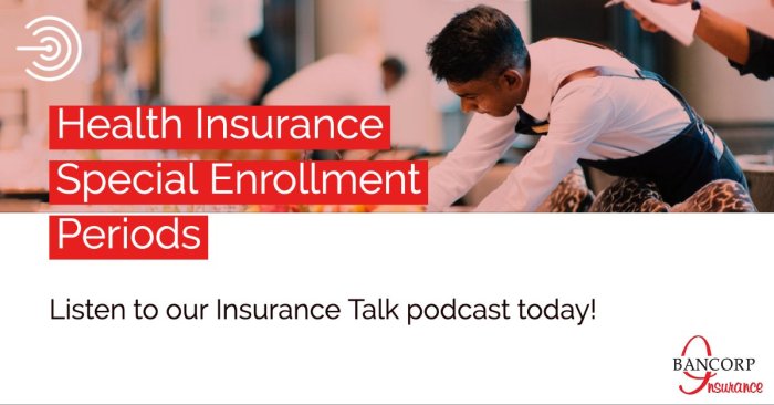Enrollment period for supplemental insurance 2025